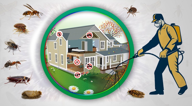 Bozüyük Böcek İlaçlama