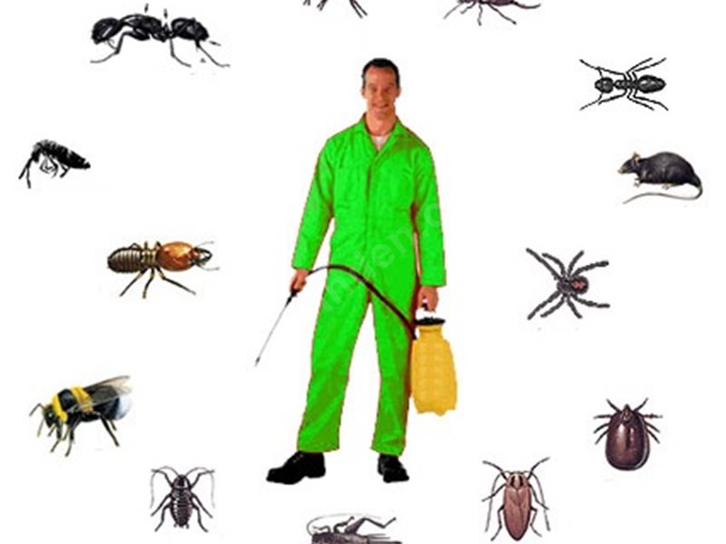 Bozüyük Böcek İlaçlama